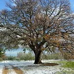 Venkovský dům L'antica Quercia