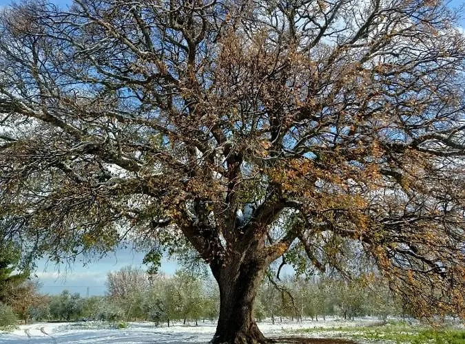 Casa di campagna L'antica Quercia