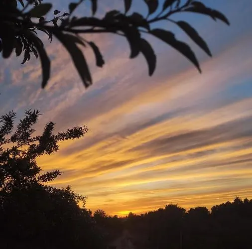 Casa di campagna L'antica Quercia